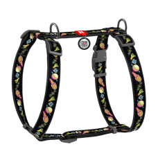 Шлея для собак анатомическая H-образная WAUDOG Nylon с QR-паспортом, рисунок "Рик и Морти 3", пластиковый фастекс, S, 15 мм, A 30-40, B 30-50S30-50