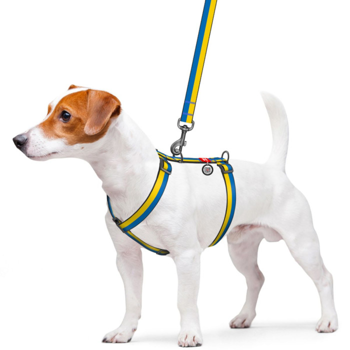 Шлея для собак анатомическая H-образная WAUDOG Nylon с QR-паспортом, рисунок "Colors of freedom", пластиковый фастекс S 30-50см