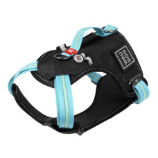 Шлея WAUDOG Nylon с QR паспортом, безопасная, метал. пряжка-фастекс, голубая S 55-65 см