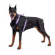 Шлея WAUDOG Nylon с QR паспортом, безопасная, метал. пряжка-фастекс, фиолетовая M 60-80 см