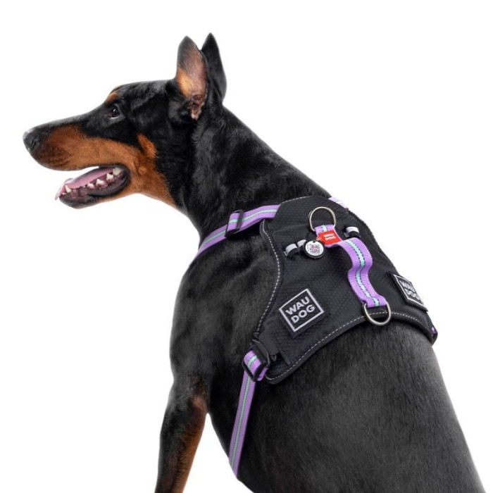 Шлея WAUDOG Nylon с QR паспортом, безопасная, метал. пряжка-фастекс, фиолетовая M 60-80 см