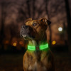 Ошейник для собак с подсветкой WAUDOG LED, магнитная застежка, Ш 25 мм, Длинна 35 см