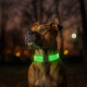 Ошейник для собак с подсветкой WAUDOG LED, магнитная застежка, Ш 25 мм, Длинна 45 см