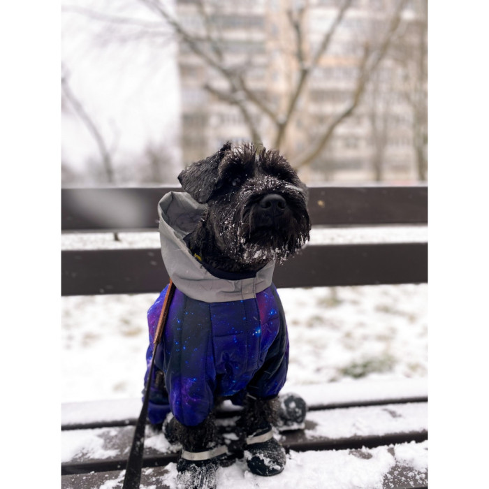 Комбінезон для собак WAUDOG Clothes з малюнком "NASA21" XS22 19-21 см 29-31 см