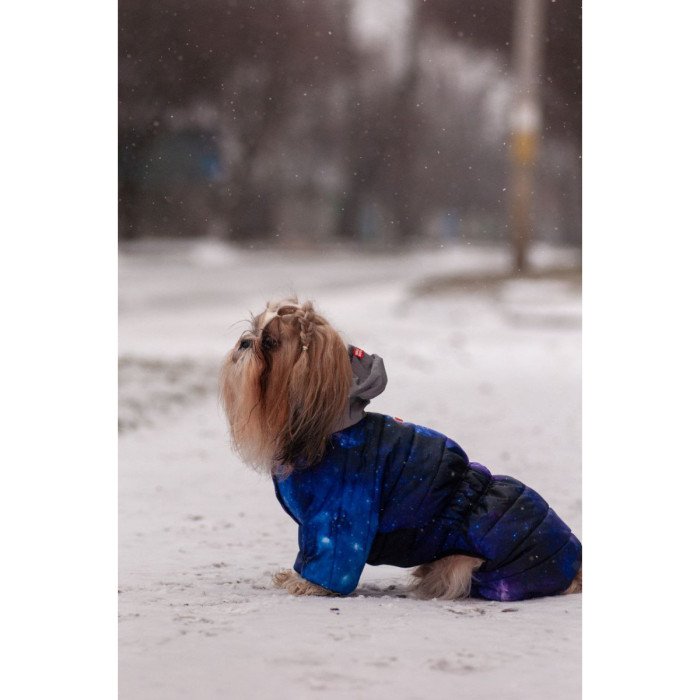 Комбінезон для собак WAUDOG Clothes з малюнком "NASA21" XS22 19-21 см 29-31 см