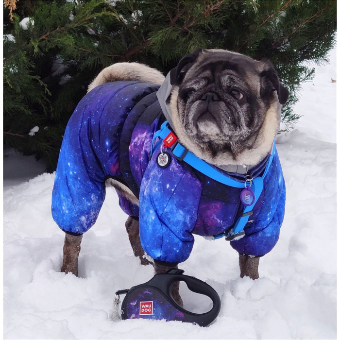 Комбінезон для собак WAUDOG Clothes з малюнком "NASA21" XS22 19-21 см 29-31 см
