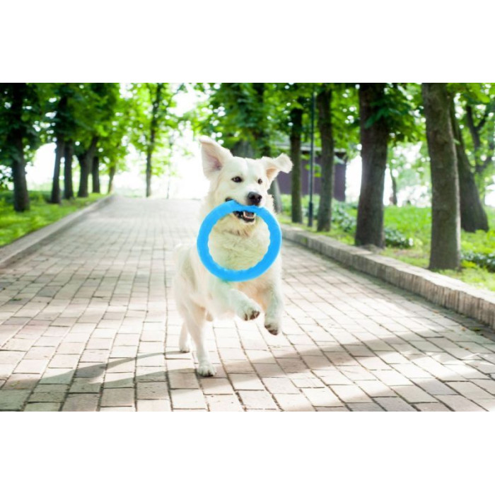 Кольцо для апортировки PitchDog30, диаметр 28 см