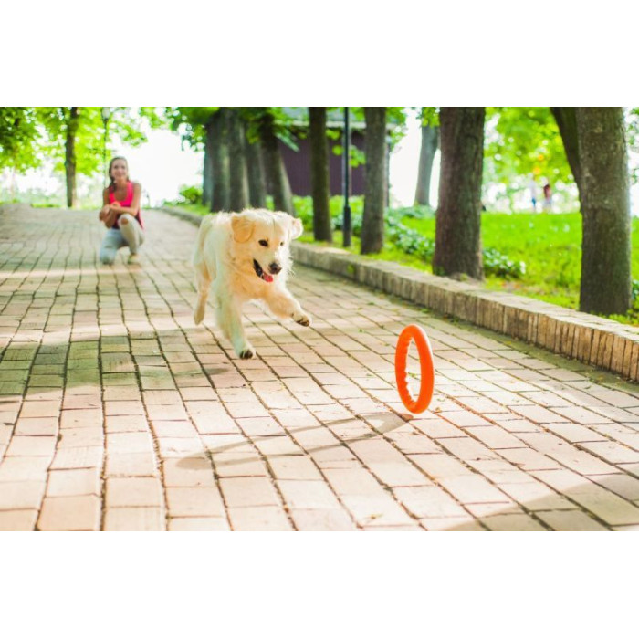 Кольцо для апортировки PitchDog30, диаметр 28 см