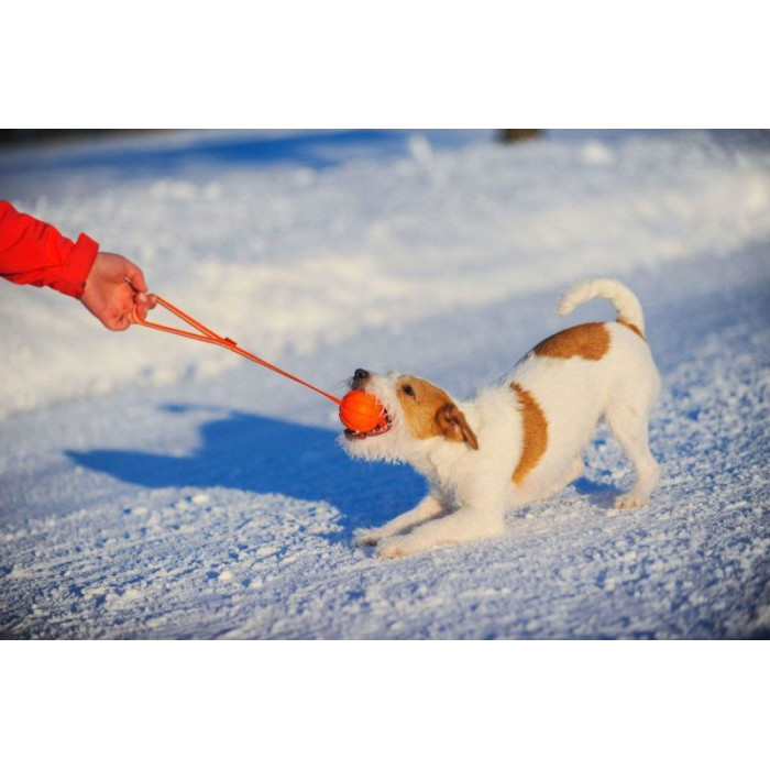 Мячик Liker Line  для собак