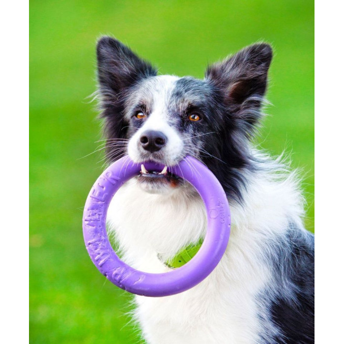 Тренировочный снаряд PULLER Midi, d 20см для собак