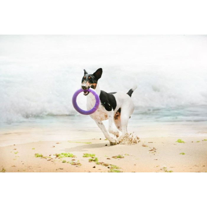 Тренировочный снаряд PULLER Midi, d 20см для собак