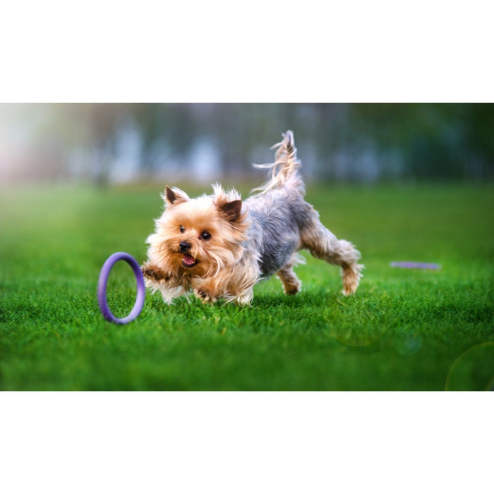 Тренировочный снаряд PULLER Micro, d 12,5см для собак