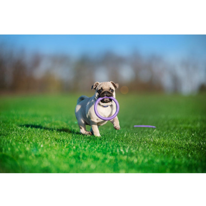 Тренировочный снаряд PULLER Micro, d 12,5см для собак