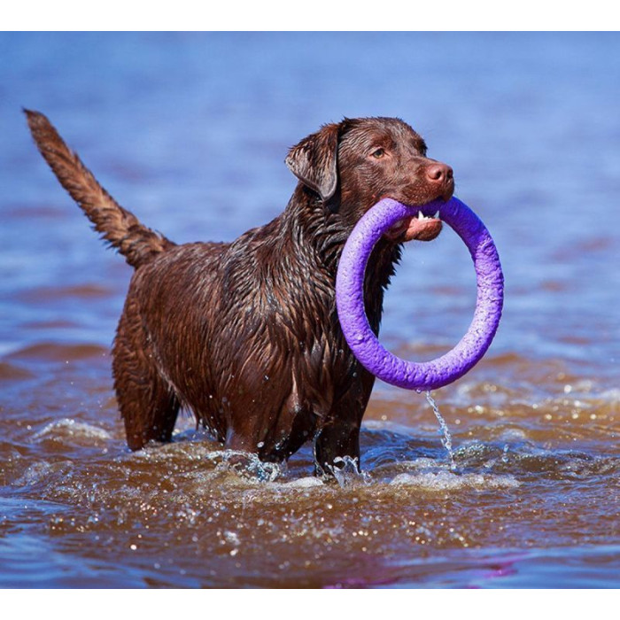 Тренувальні снаряди PULLER Standard, d 28cм для собак