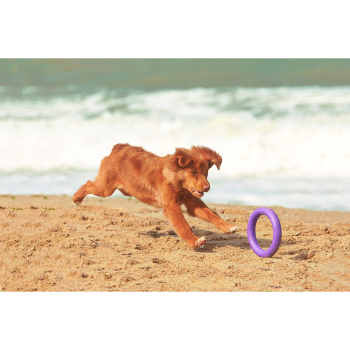 Тренировочный снаряд PULLER Mini, d 18см для собак