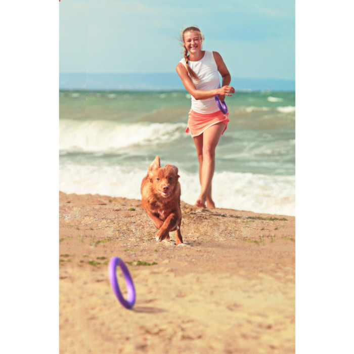 Тренировочный снаряд PULLER Mini, d 18см для собак