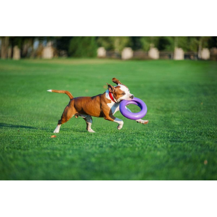 Тренировочный снаряд PULLER Мaxi, d 30см для собак