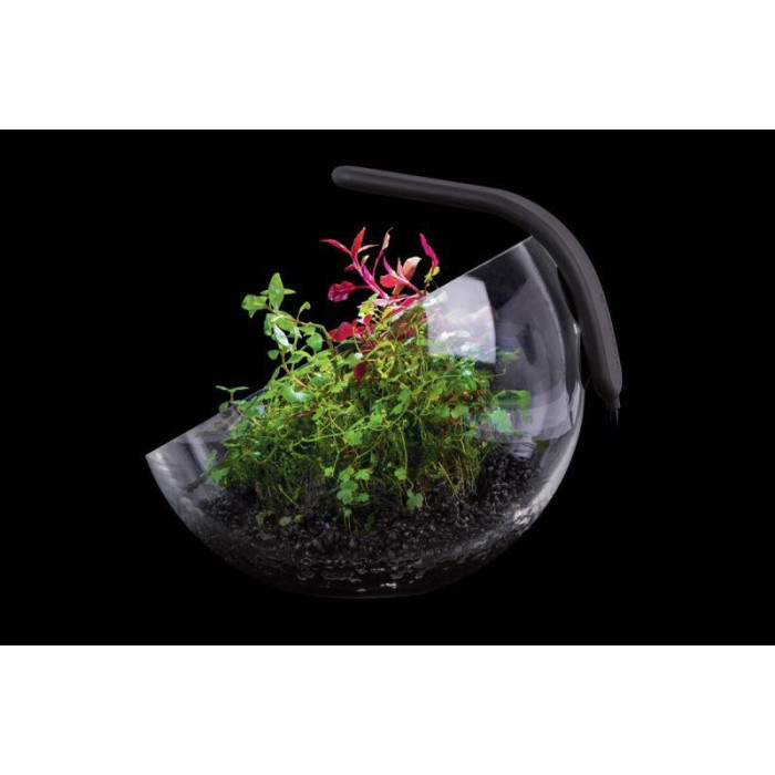 Декоративний акваріумний набір Wabi Set