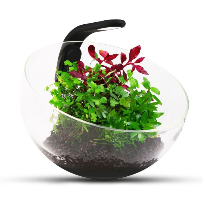 Декоративний акваріумний набір Wabi Set