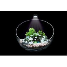 Декоративный аквариумный набор Wabi Set