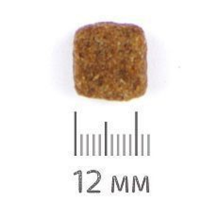 Сухой корм для взрослых активных собак Chicopee PNL Active