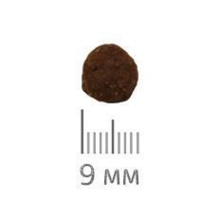Холистик корм для взрослых котов Chicopee HNL Cat No Grain