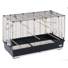 Клетка CAGE PIANO 8 BLACK для канареек и маленьких экзотических птиц 118 x 58,5 x h 71,5 cm