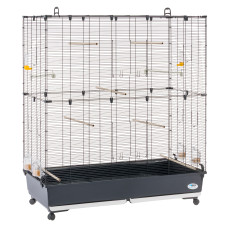 Большая клетка для канареек, попугаев и других мелких птиц PLANETA LARGE BLACK (в комплекте с колесами), 118 x 59 x 135 см