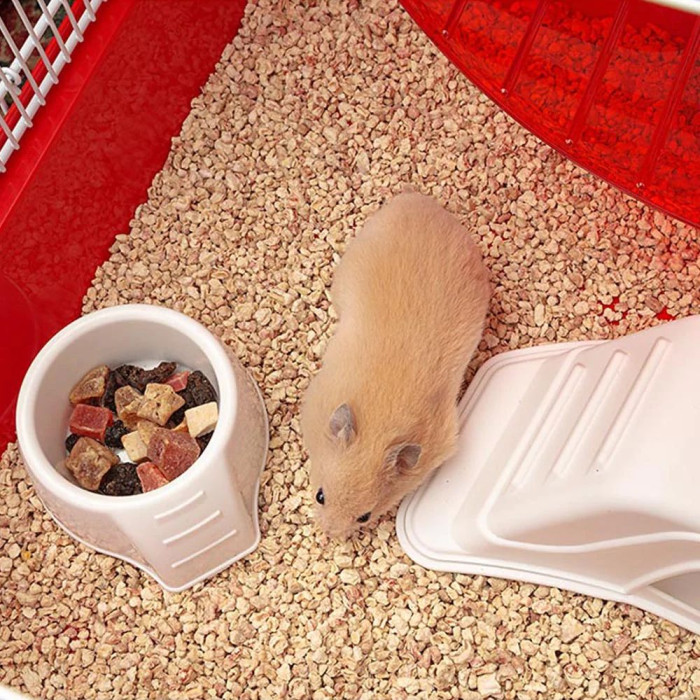 Клетка для хомяков CAGE CONEY ISLAND WHITE с большим колесом и зоной для игр 50 x 35 x h 25 cm