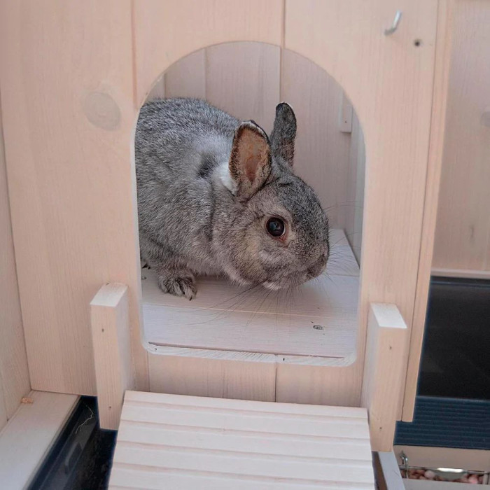 Деревянная клетка для кроликов CAGE COTTAGE MINI 78,5 x 59,5 x h 94 cm