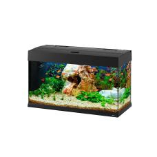 Стеклянный аквариум DUBAI 80 LED BLACK со светодиодными лампами и внутренним фильтром (81 x 36 x h 51 cm – 125 L)