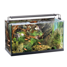 Открытый аквариум ELBA 80 ACQUARIO EU с внешним фильтром, погружным нагревателем и светодиодным потолочным светильником (81,5 x 36 x h 54,5 cm - 120 L)