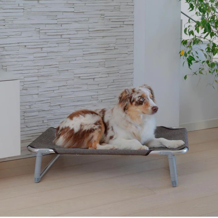 Розкладачка для собак DOG BED DREAM 80 GREY