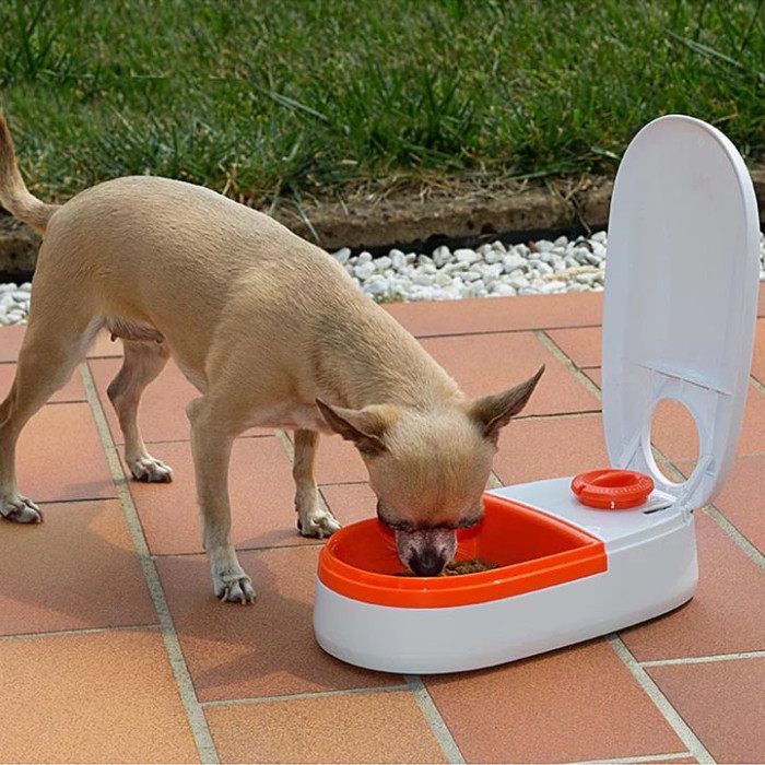 Автоматический диспенсер для корма с таймером COMETA BOWL для маленьких собак и кошек