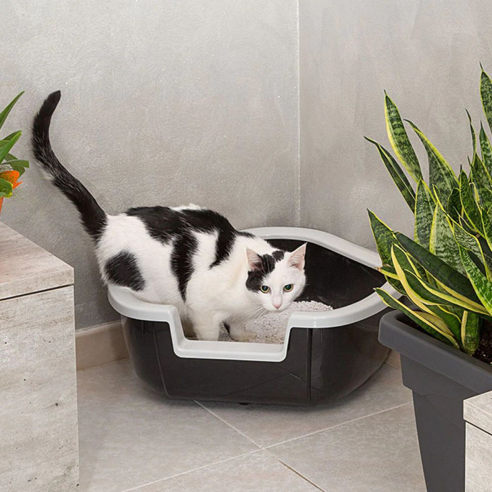 Кутовий туалет для кішок LITTER TRAY DAMA Ferplast 57,5 ??x 51,5xh 22 cm