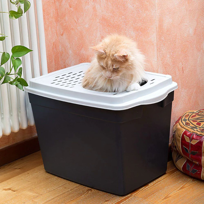 Закритий туалет для кішок TOILET HOME JUMPY Ferplast з верхнім входом, 38,8x57,5 ??x h 39 cm