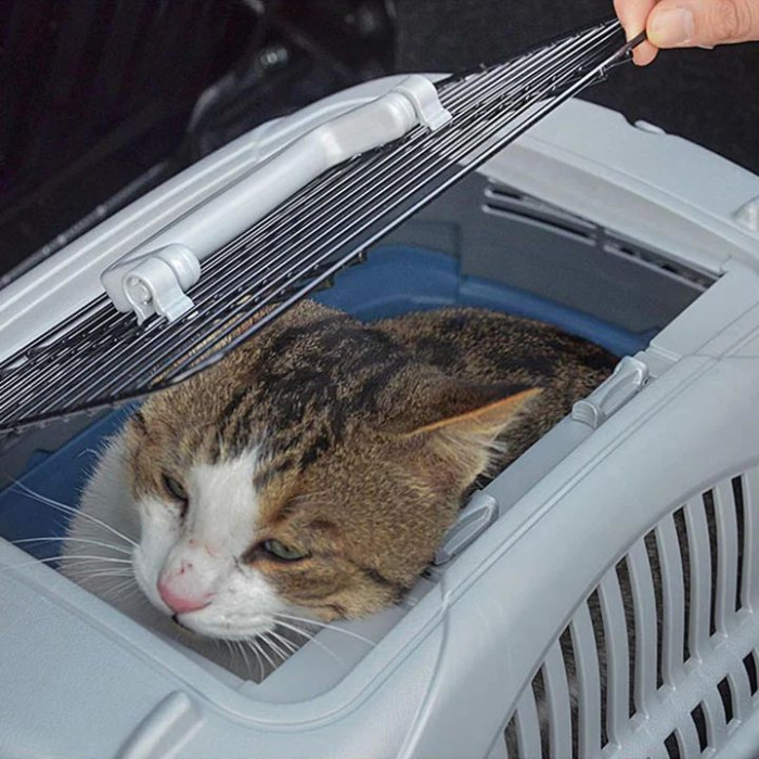 Переноска для котів і собак FERPLAST CARRIER ATLAS DELUXE 10 OPEN з верхом, що відкривається 34x50,7xh 30 cm