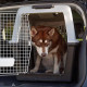 Переноска для собак середніх та великих порід FERPLAST CARRIER ATLAS 60 GREY, 61x91xh 68 cm