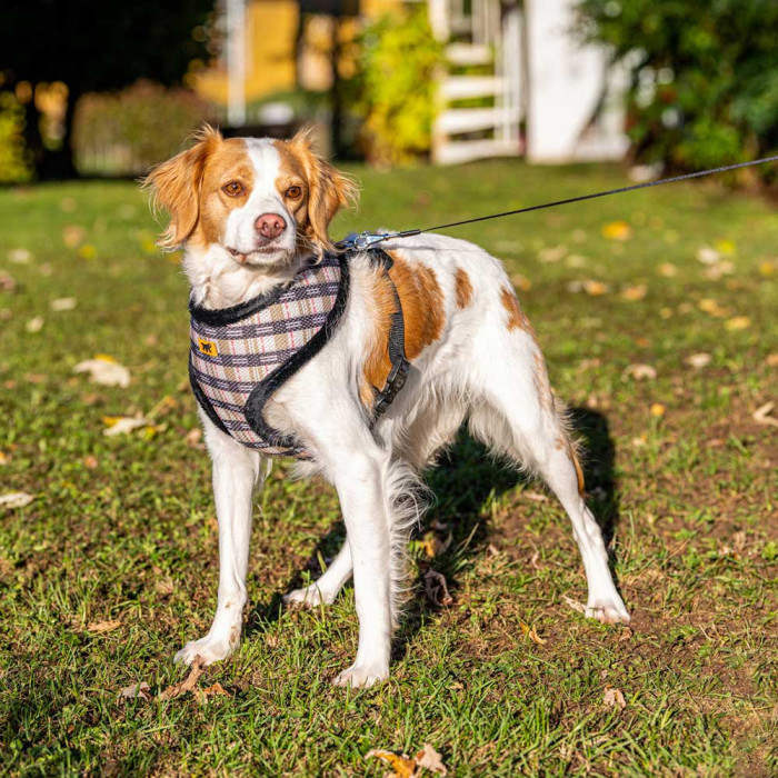 Мягкая шлейка из дышащей ткани и эко-меха для собак и кошек NIKITA FUR EFFE, L - A: 36 cm, B: 49-68 cm, 20 mm