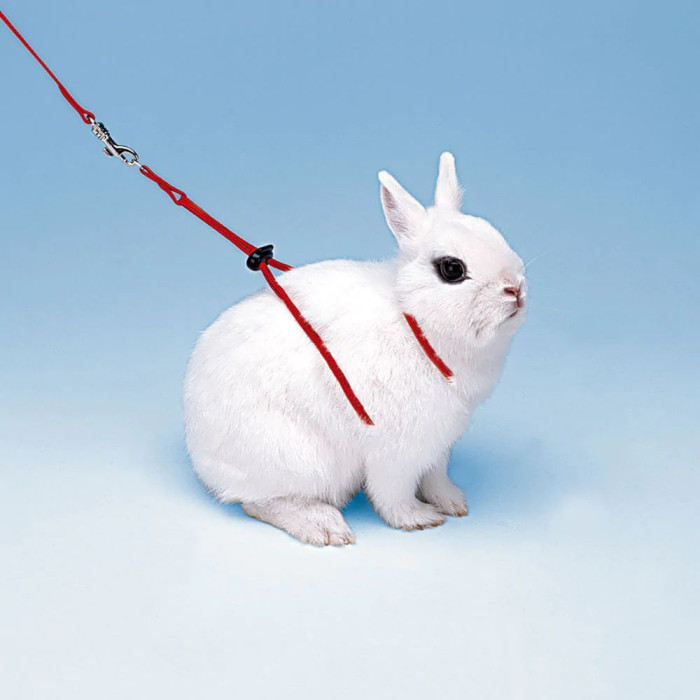 Регульована шлейка для кролів NY RAB HARNESS RABBITS RED