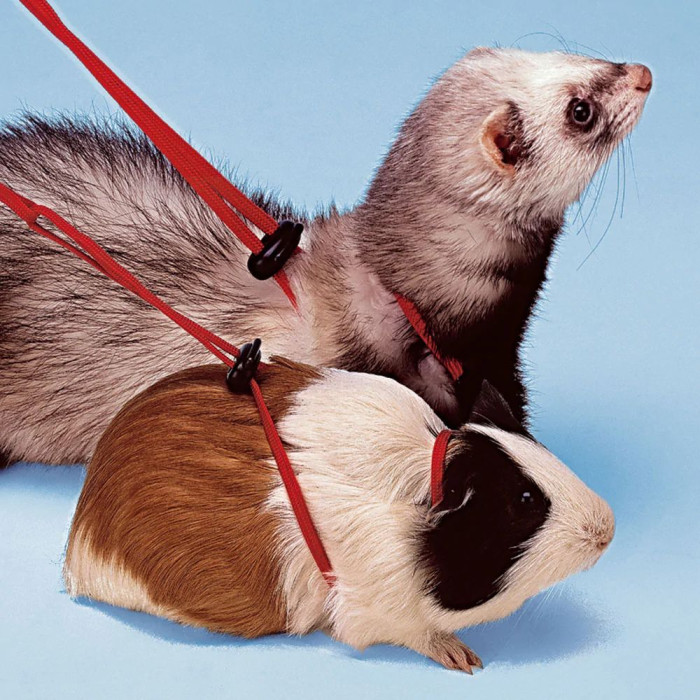 Регулируемая шлейка для морских свинок NY ROD HARNESS RODENTS RED