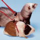 Регулируемая шлейка для морских свинок NY ROD HARNESS RODENTS RED