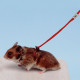 Регулируемая шлейка для хомяков NY HAM HARNESS HAMSTER RED