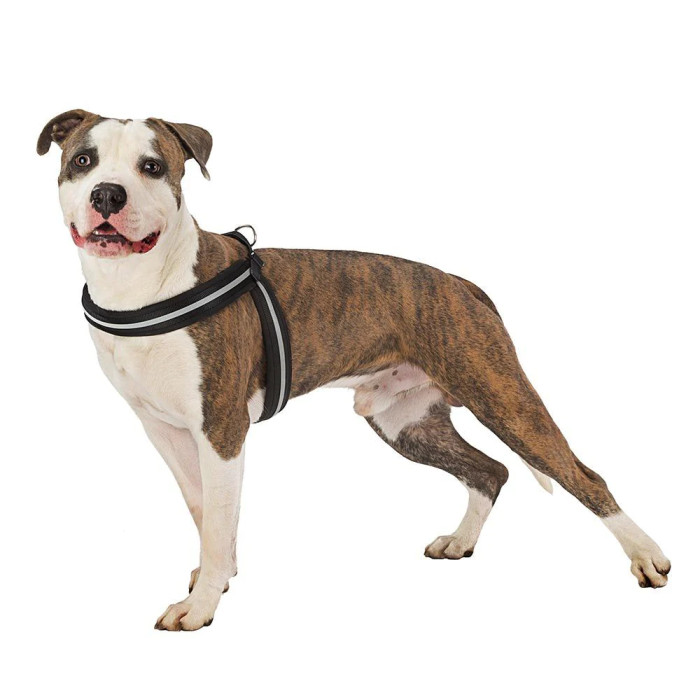 Эргономична шлея для собак со светоотражающей лентой AGILA REFLEX ORANGE, №9 - A=B 77-85 cm, 25 mm