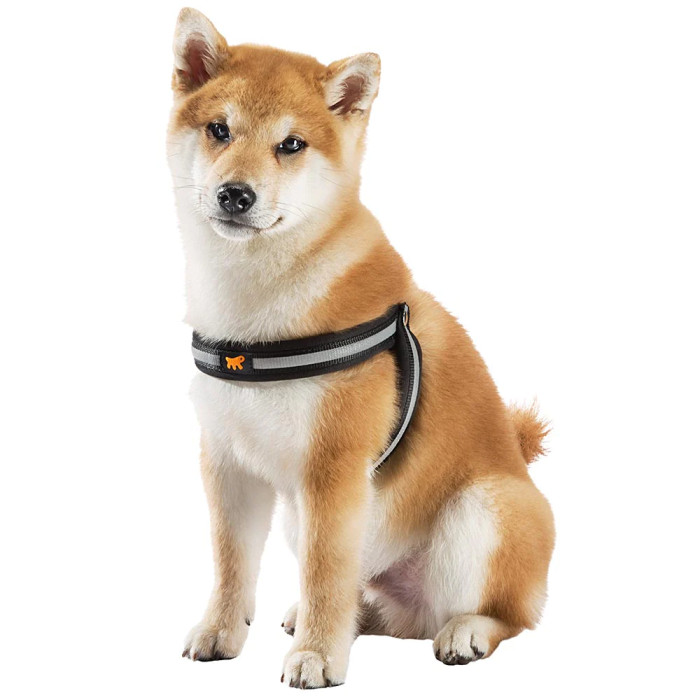 Эргономична шлея для собак со светоотражающей лентой AGILA REFLEX ORANGE, №9 - A=B 77-85 cm, 25 mm