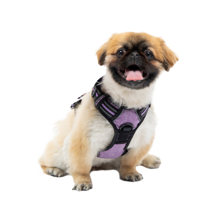 Шлейка для дрессировки собак VIGOR L VIOLA PETTORINA с двойными кольцами для поводков (A: 38-59 cm B: 34-88 cm 25 mm)