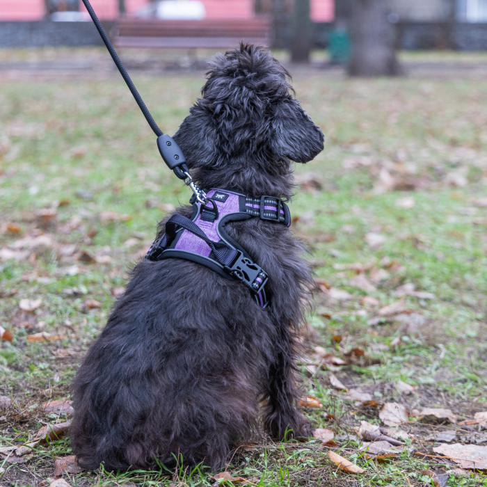 Шлейка для дрессировки собак VIGOR L VIOLA PETTORINA с двойными кольцами для поводков (A: 38-59 cm B: 34-88 cm 25 mm)