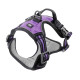 Шлейка для дрессировки собак VIGOR L VIOLA PETTORINA с двойными кольцами для поводков (A: 38-59 cm B: 34-88 cm 25 mm)