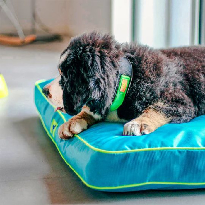 Подушка POLO 80 CUSHION BLUE Ferplast 80x50xh 8 cm