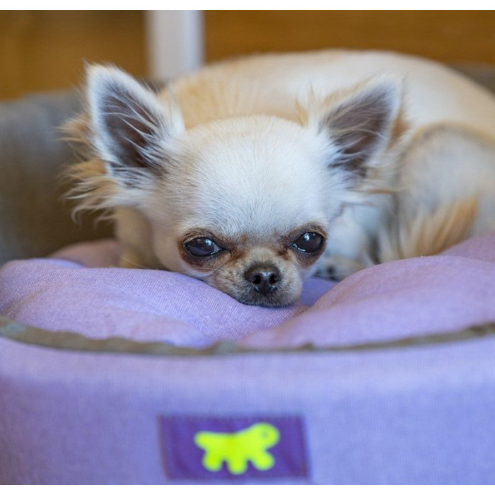 Лежак DIAMANTE 55 LILAC-DOVE GREY Ferplast 53x50xh 16 cm